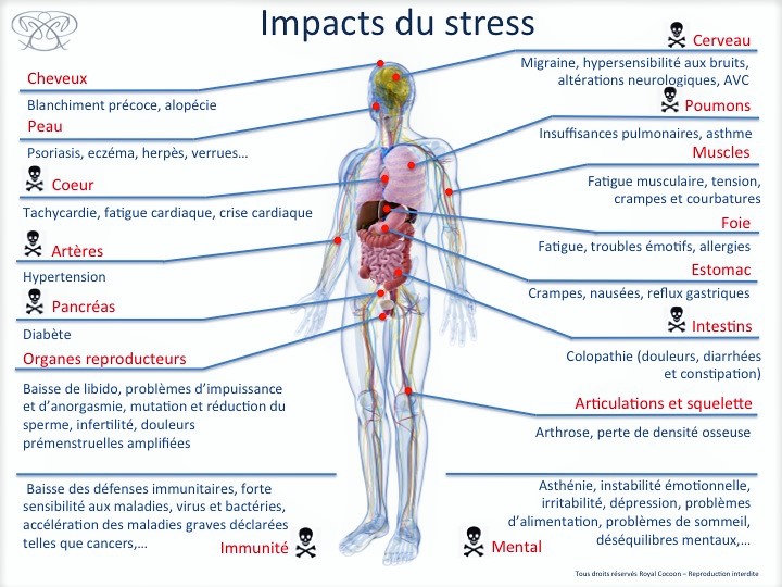 Impacts du stress